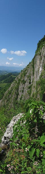 Vertical Panorama puzzle panoramic