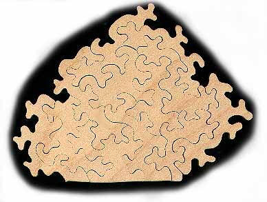 Puzzle section showing the uniqueness and challenge of my nightmare cut... assembled